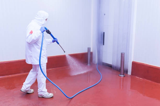Reliable Euclid, OH Pressure Washing Services Solutions